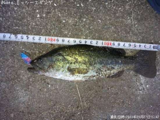 �֥�å��Х�