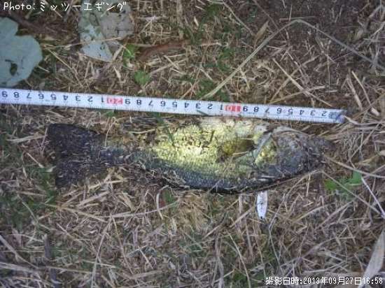 �֥�å��Х�