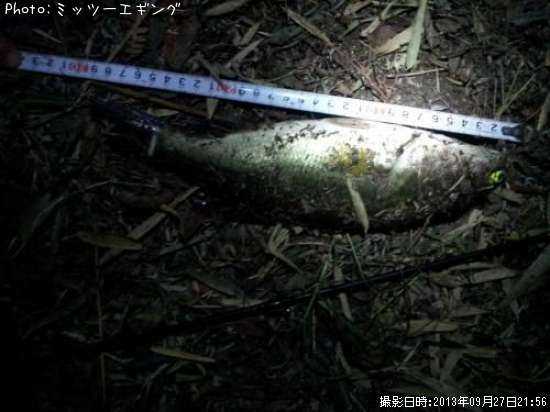 �֥�å��Х�