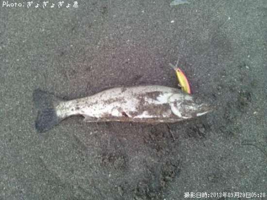 �����Х�