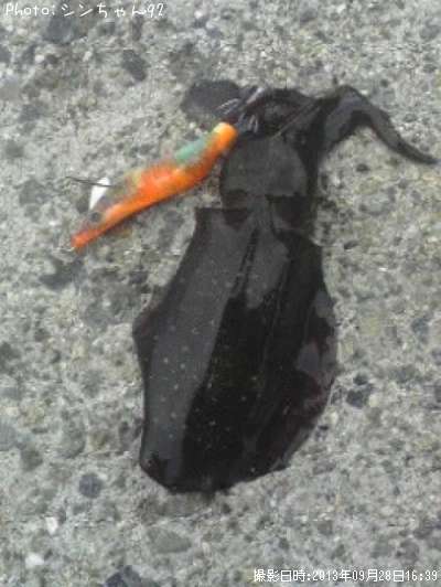 �����ꥤ��