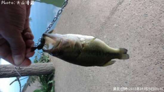 �֥�å��Х�