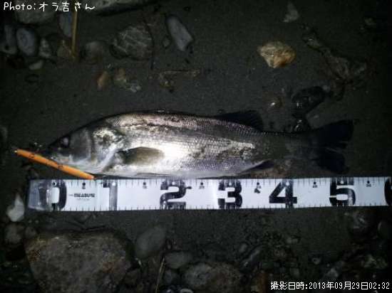 �����Х�