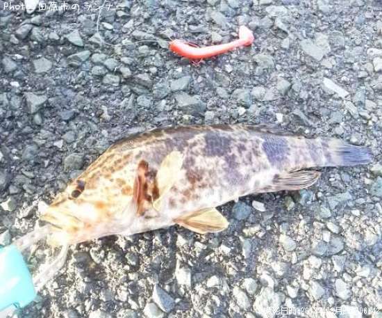 �����Υ���Х�