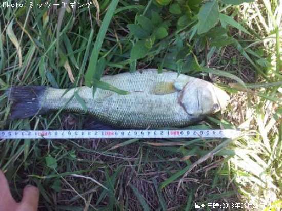 �֥�å��Х�