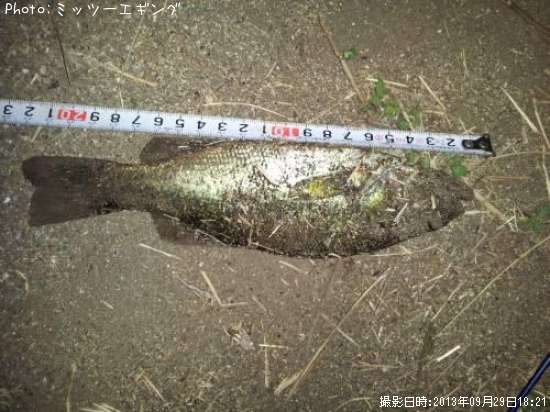 �֥�å��Х�