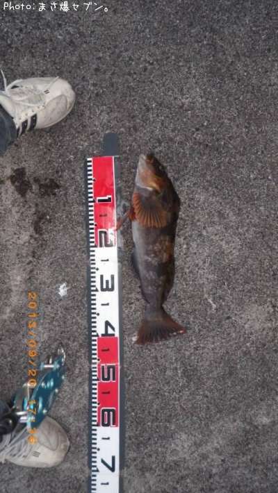 �����ʥ�