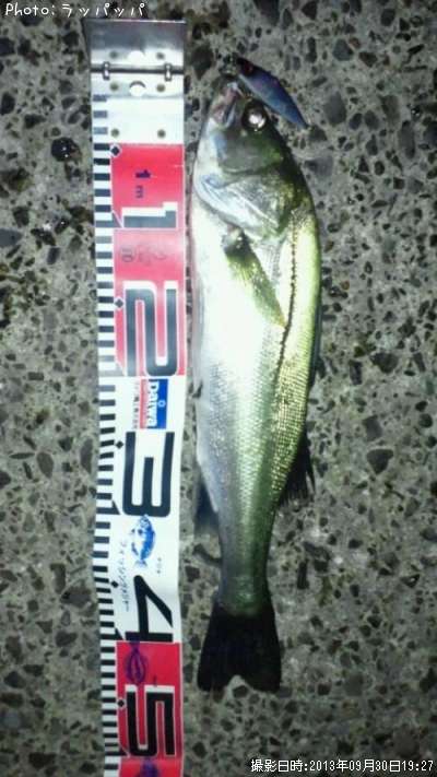 �����Х�