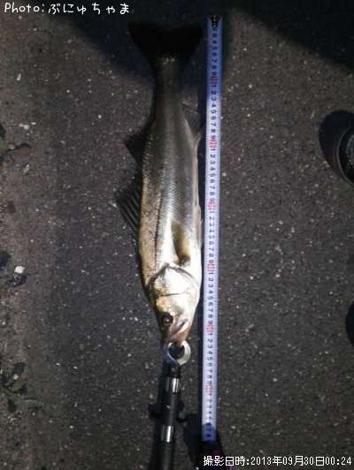 �����Х�