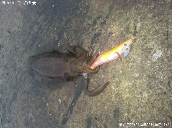 �����ꥤ��