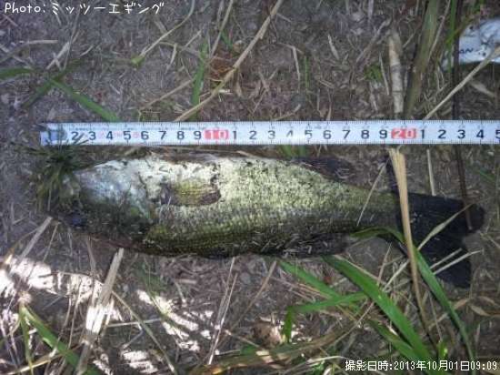 �֥�å��Х�