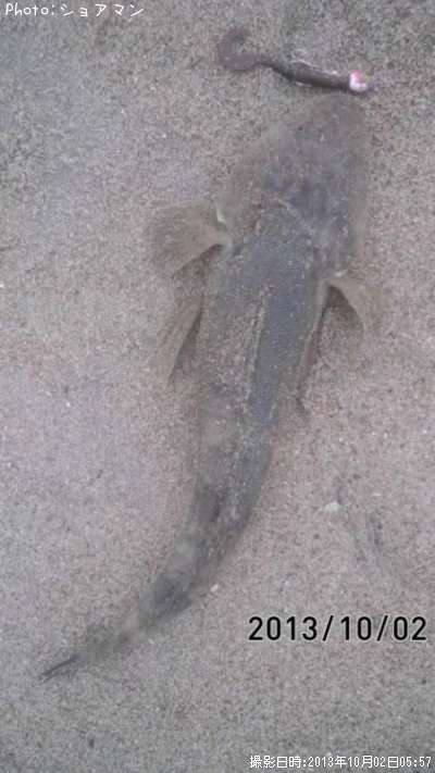 �ޥ���