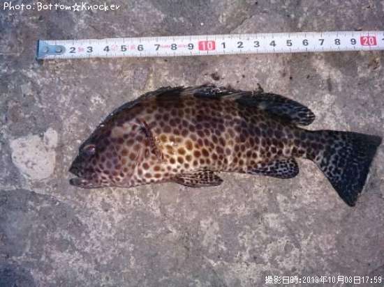 �������ϥ�