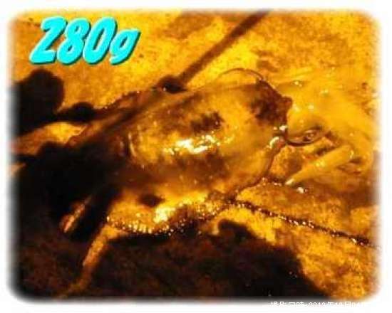 �����ꥤ��