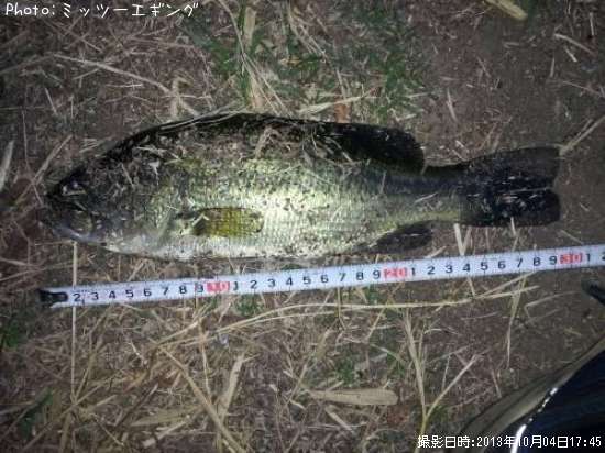 �֥�å��Х�