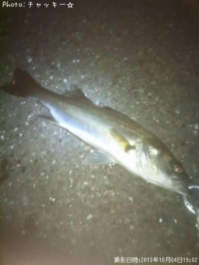 �����Х�