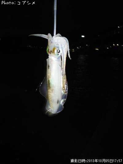 �����ꥤ��