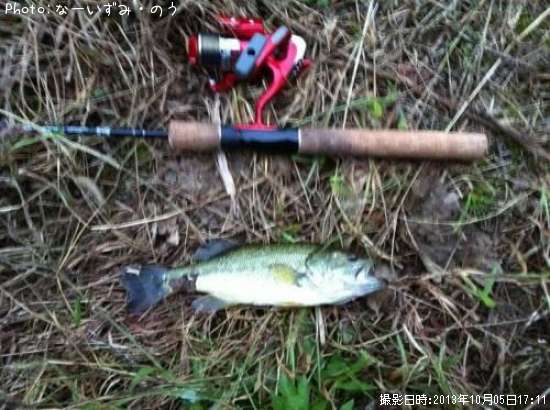 �֥�å��Х�