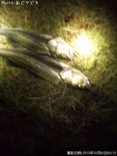 �����Х����񡢥�����