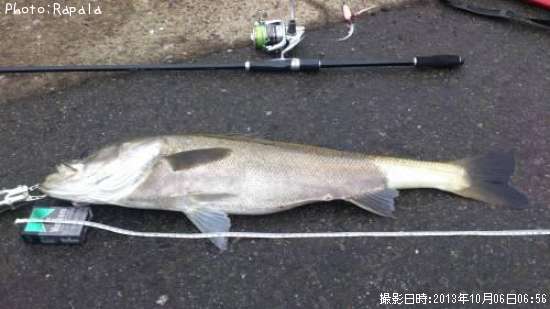 �����Х�