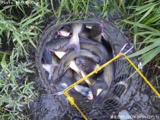 ����åȥե��å���