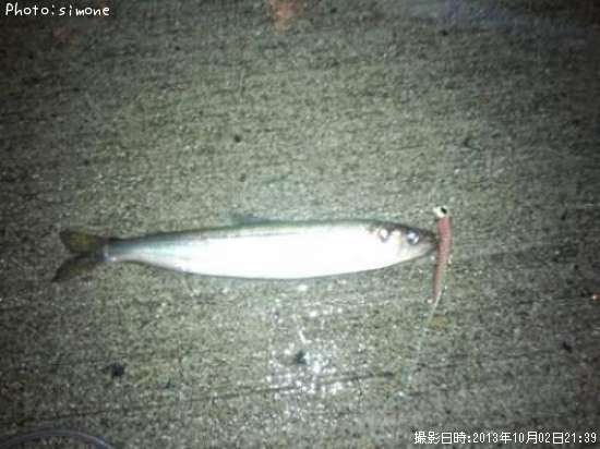 ���奦�ꥦ��