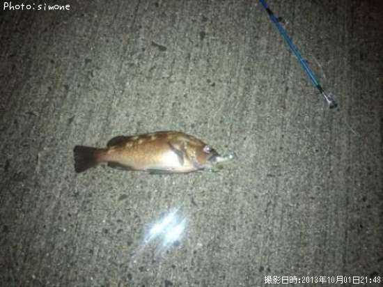 ������Х�