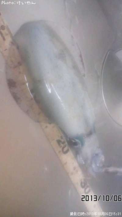 �����ꥤ��