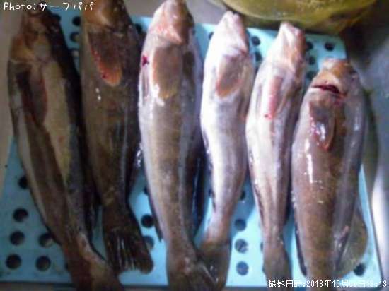 �����ʤ�