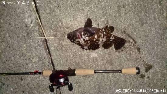 ��饽��