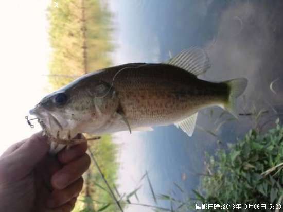 �֥�å��Х�