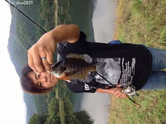 �֥롼����