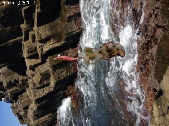 �����ꥤ��