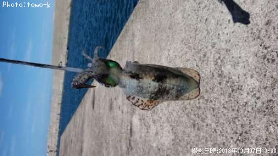 �����ꥤ��