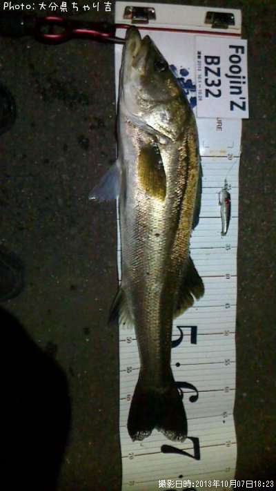 �����Х�