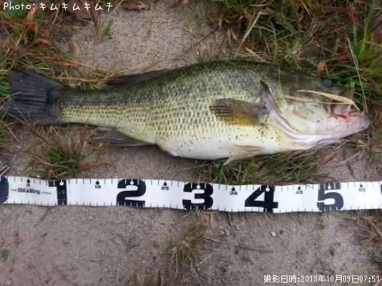 �֥�å��Х�