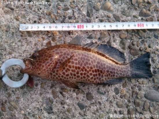 �������ϥ�