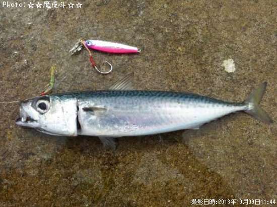 ���ޥ���