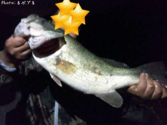 �֥�å��Х�