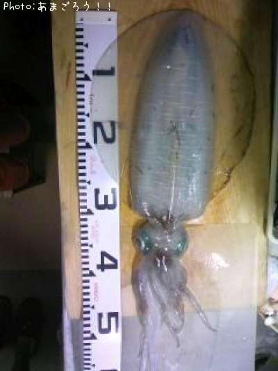 �����ꥤ��