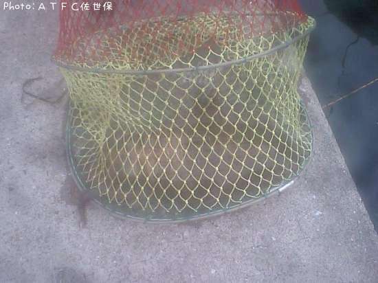 �����ꥤ��