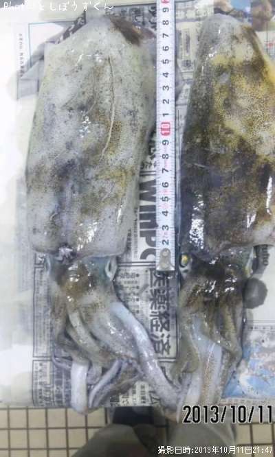 �����ꥤ��