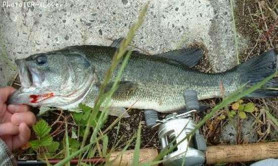 �֥�å��Х�