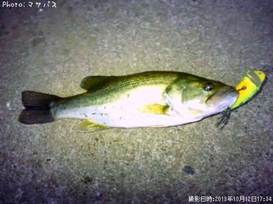 �֥�å��Х�