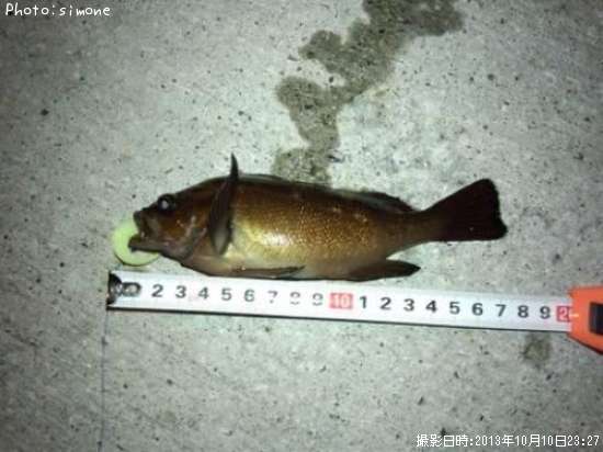 ������Х�