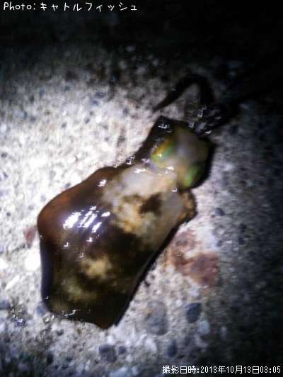 �����ꥤ��