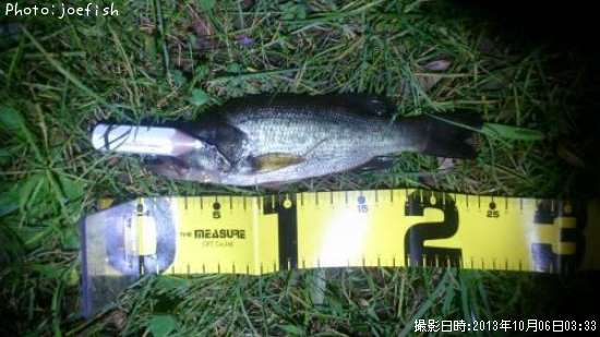 �֥�å��Х�