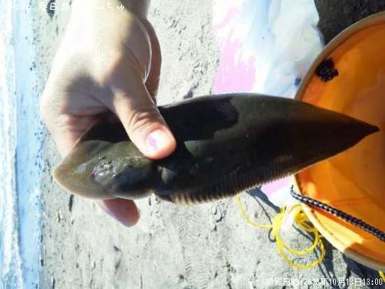 �����ӥ��