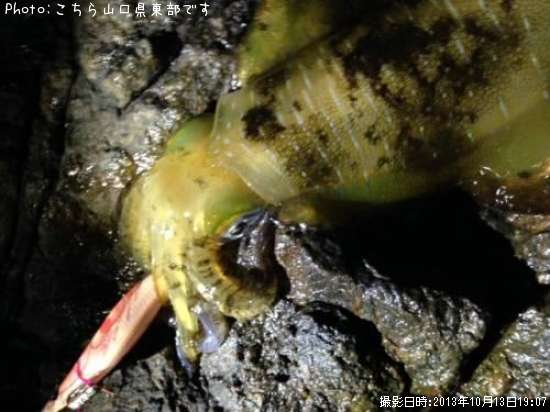 �����ꥤ��