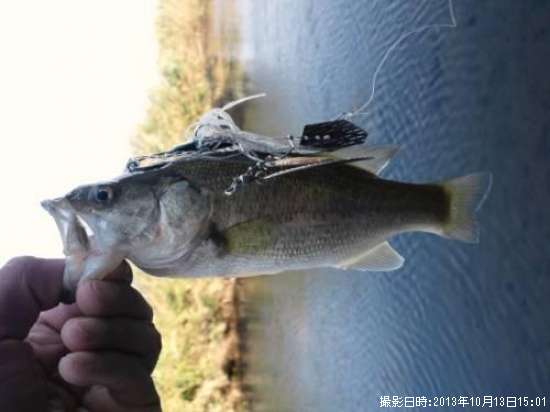 �֥�å��Х�